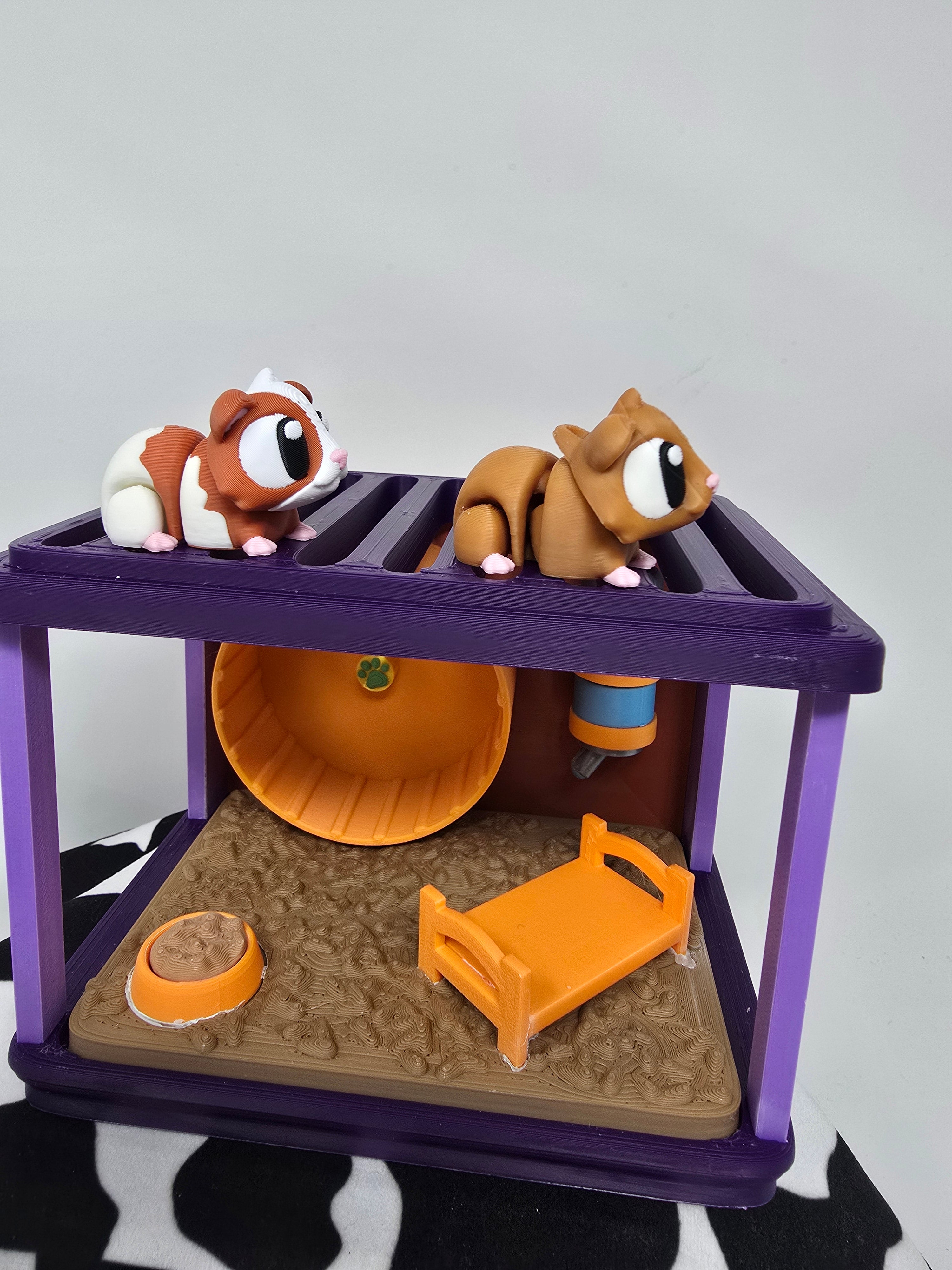 Guinea Pig Habitat