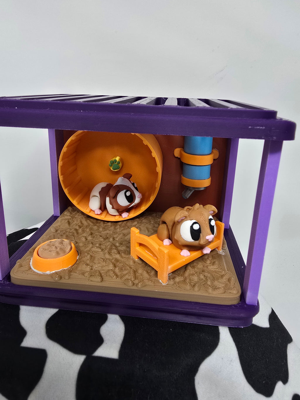 Guinea Pig Habitat