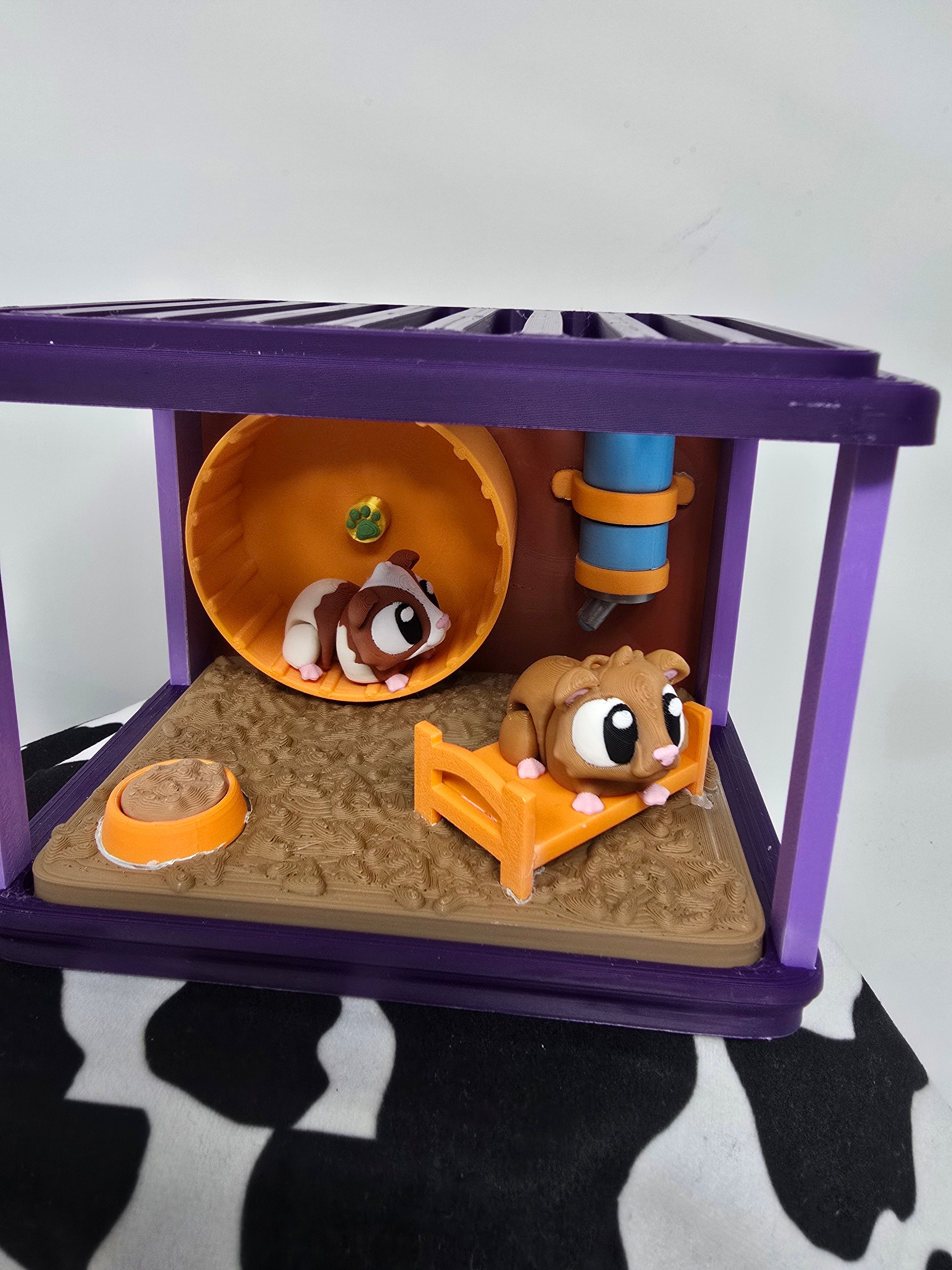 Guinea Pig Habitat