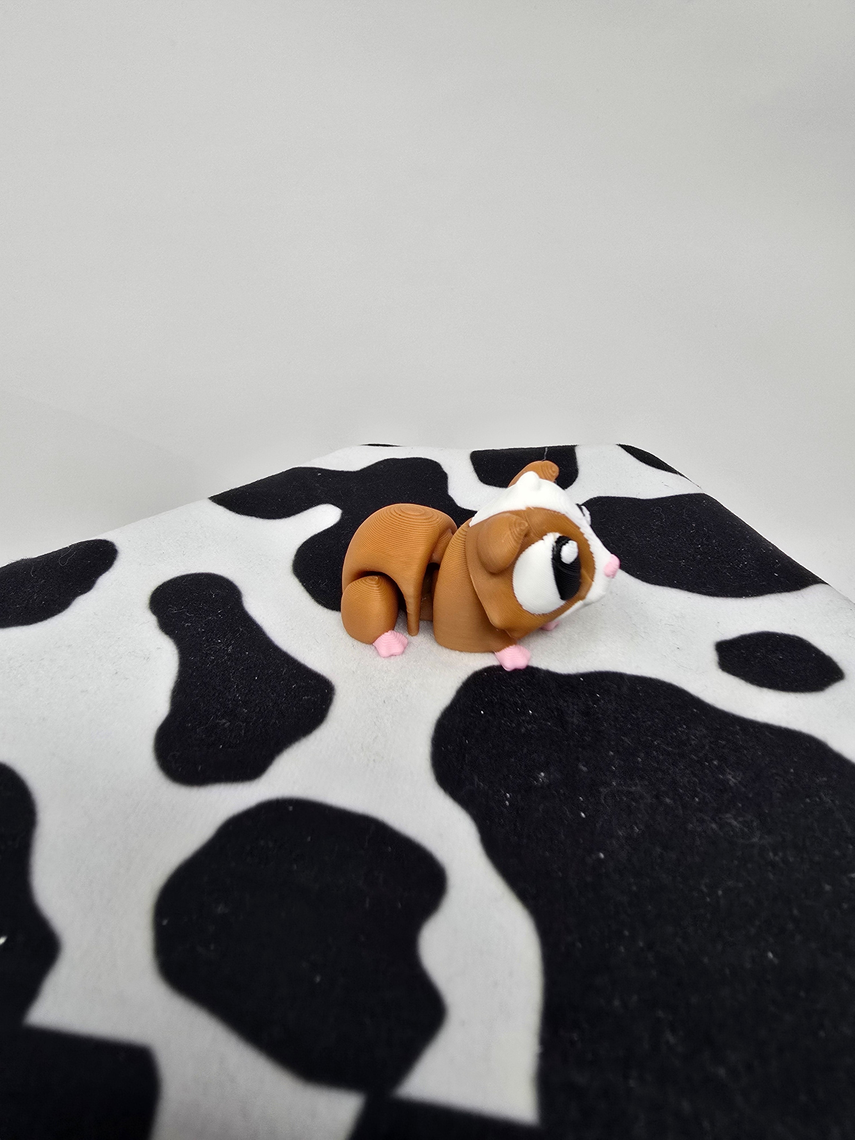 Guinea Pig Habitat